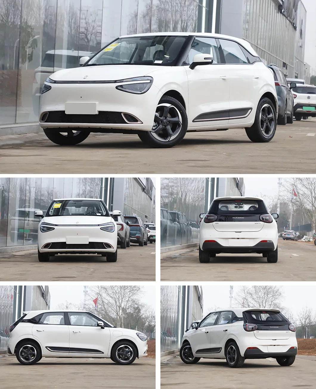 OEM electric compact car