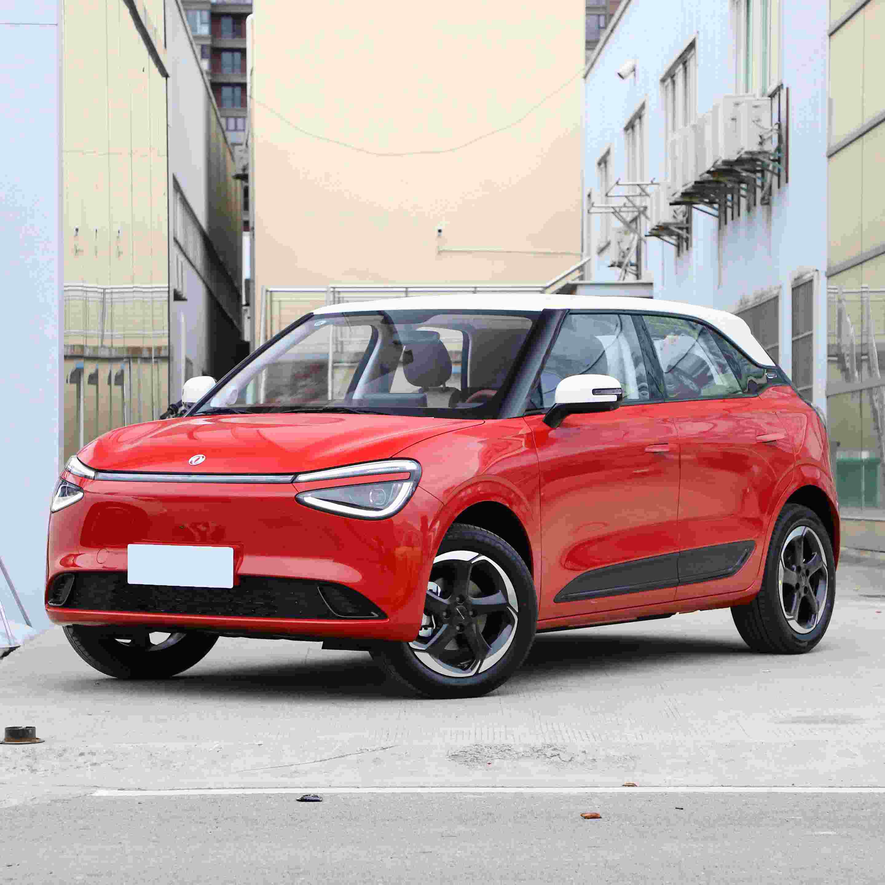 China electric car manufacturer