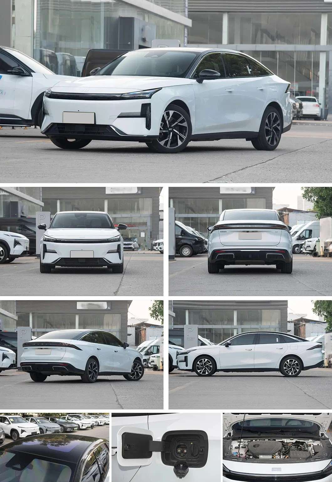 electric vehicle wholesale dealer
